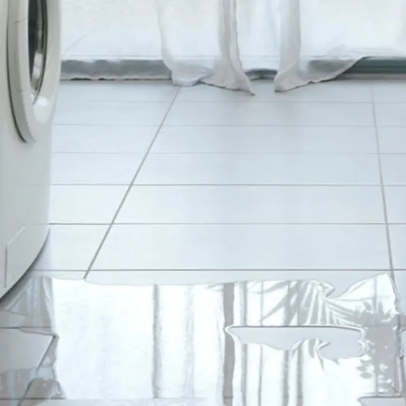 Appliance Leak Cleanup in Temple, TX