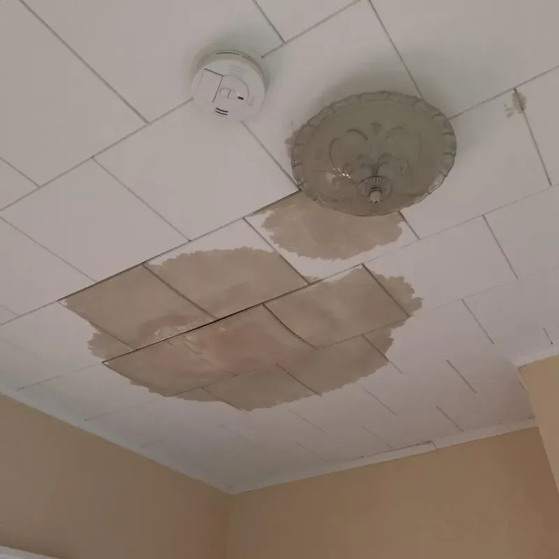 Ceiling Water Damage Repair in Temple, TX