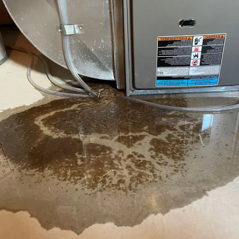 Pipe Burst and Leak Restoration in Temple, TX