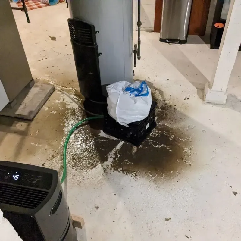 Sewage Backup Cleanup Service in Temple, TX